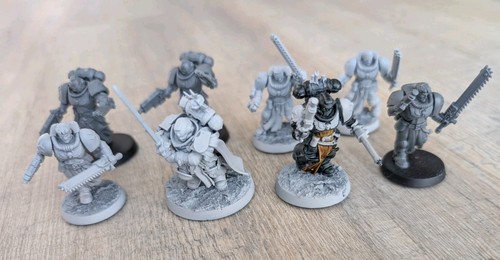Modelle primarius crusader - 8,