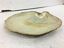 Antik Alte Alt Selten Groß