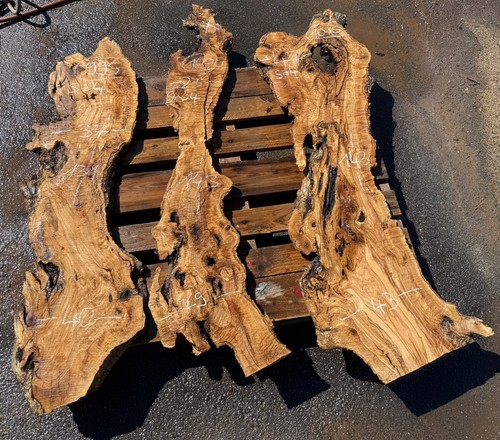 Olivenholz baumscheibe holz - olivenholz,