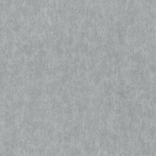 P+S Tapete Vlies Dieter Bohlen