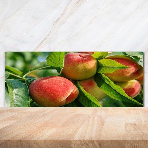 Küchenrückwand spritzschutz - küchenrückwand,