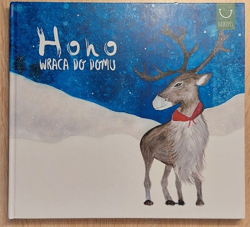 Kinderbuch polnisch hoho wraca - kinderbuch,