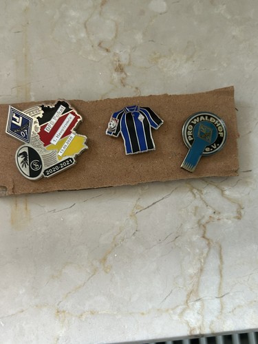 Abzeichnen pin waldhof - pin,