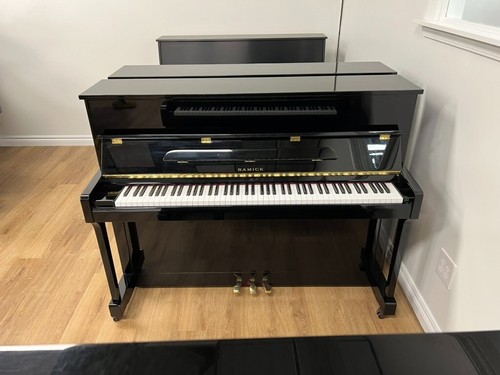 Samick 115 - samick, (45")