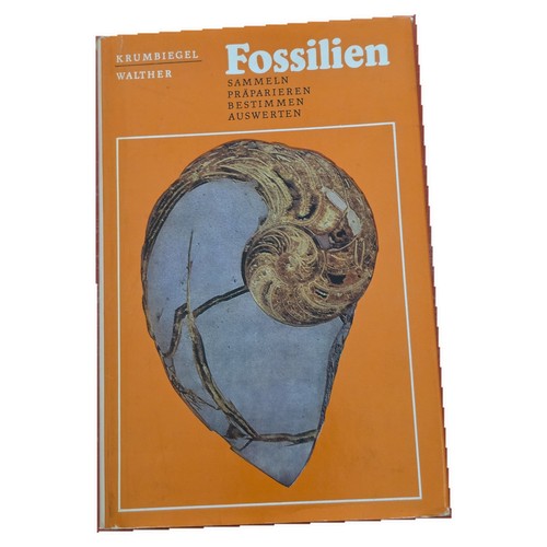 Krumbiegel walther fossilien - krumbiegel, 2