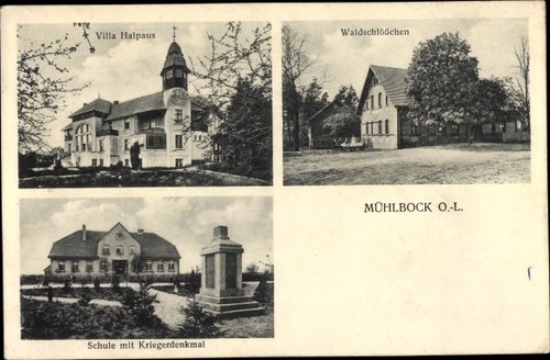 Ołobok mühlbock - ak,