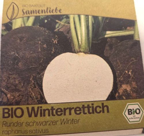 Schwarzer winterrettich - schwarzer,