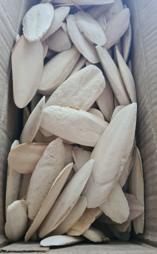 Sepiaschalen klein 250g - , ca