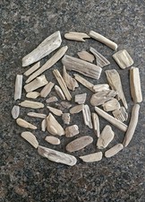 Treibholz Schwemmholz Minis