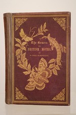 The Genera of British Moths by