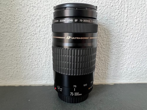Canon zoom lens 300mm - canon,