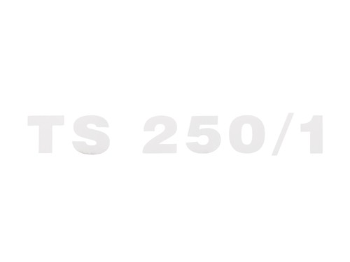 Schriftzug 250 1 - schriftzug, "ts