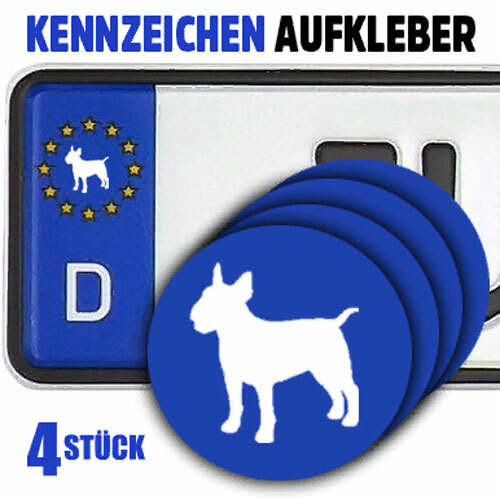 Bullterrier rassehund hunde - rassehund,
