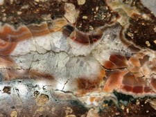 💎 ACHAT Rhyolith ähnl