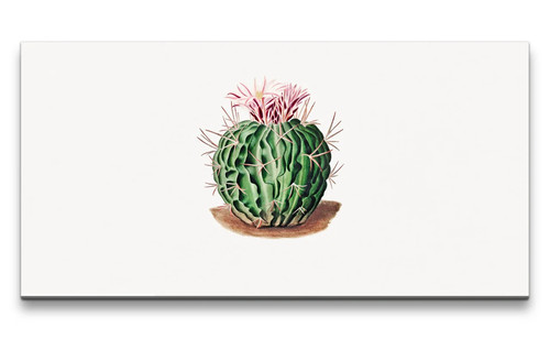 120x60cm remaster - 120x60cm,