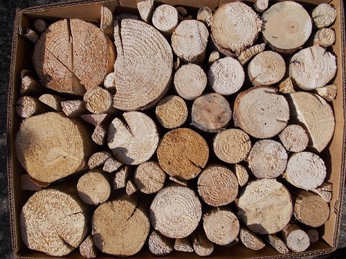 Brennholz kaminholz feuerholz - kaminholz,