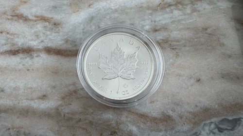 Canada maple leaf - leaf, 2023