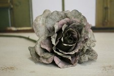 Katherine´s Collection dunkle