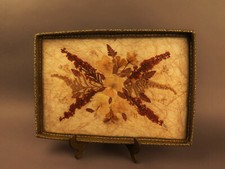 8508:TABLETT, SELFMADE,getrocknete Pflanzen unter Glas, Brokatrand.Vintage.