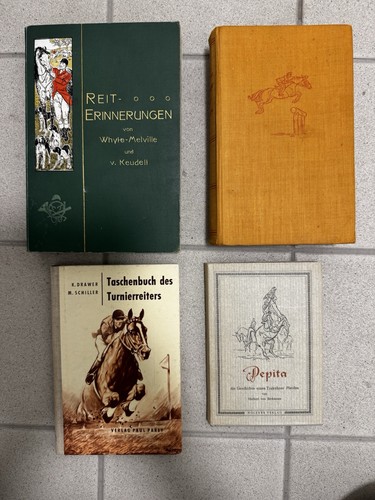 Pferde reiten pferdesport - pferde,
