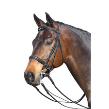 Euroriding Kandare Leder in schwarz