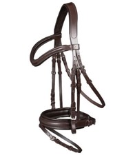 Trensenzaum Waldhausen