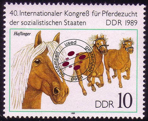 3261 pferdezucht pf - pferdezucht, 10