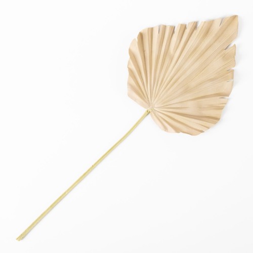 Artplants deko palmwedel - artplants,