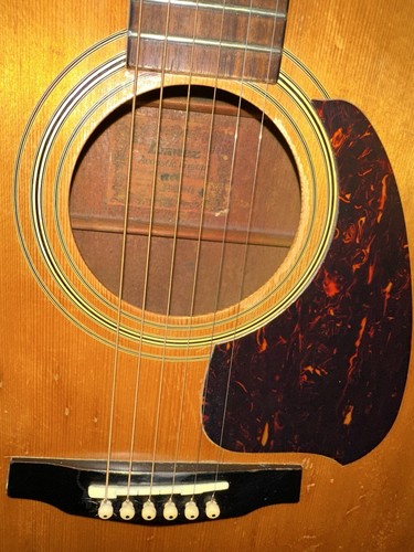 Ibanez dreadnought - ibanez,