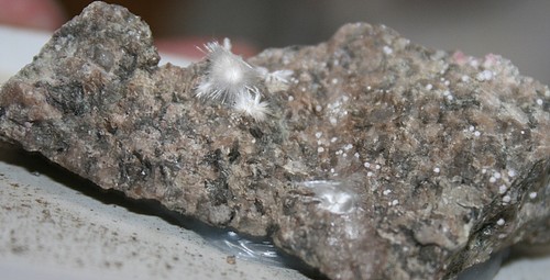Pikropharmakolith und and - .,