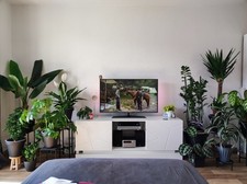 Philips Ambilight LED 4K 3D