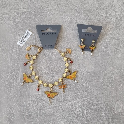 Pilger set schmetterling - pilger,