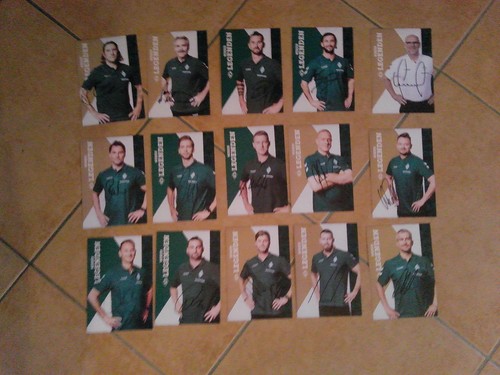 Werder bremen - werder,