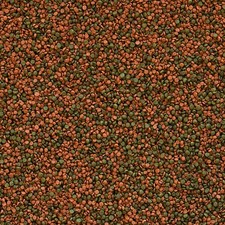 Tropical Cichlid Gran 1kg