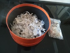 Engel Sammlung Figuren weiss