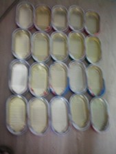 21 Blech FISCH Dosen-Büchsen- werfen/laufen/basteln/Hochzeit-Auto