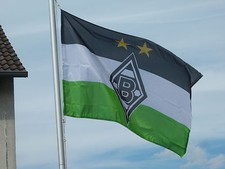 Vfl borussia mönchengladbach - vfl,