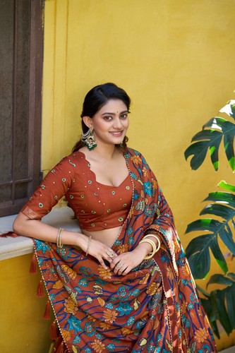 Hochzeits lehenga choli eid - hochzeits,