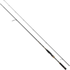 Daiwa 22 MORETHAN BRANZINO EX