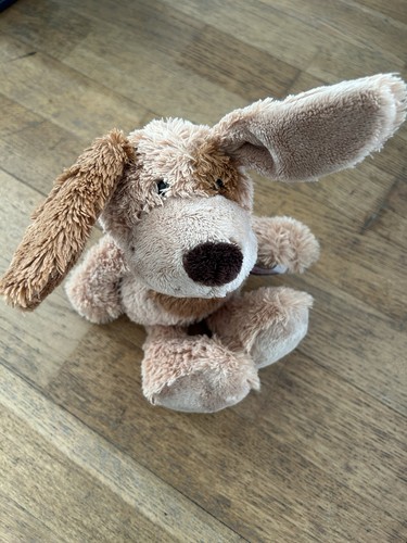 Hund von sigikid - von,