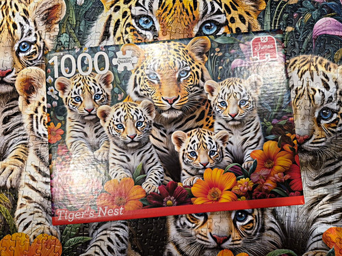Jumbo tiger nest - jumbo, tiger’s