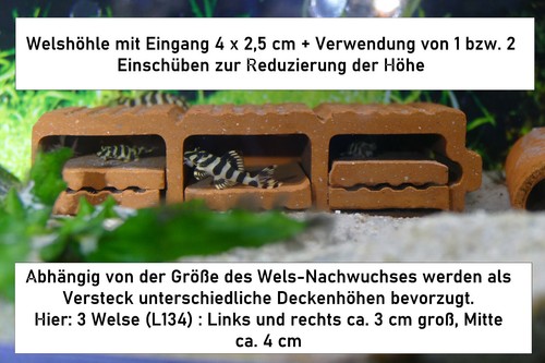 3er welshöhle cm - 3er, 14