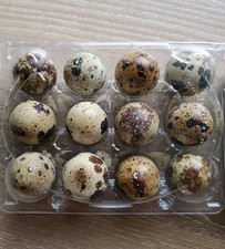 72 Wachteleier Frische