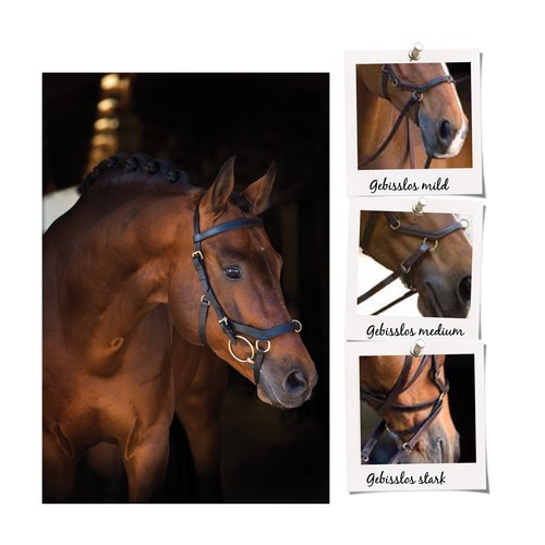 Rambo micklem multibridle - micklem®,