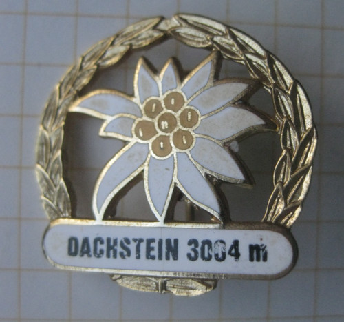 Edelweiss dachstein - edelweiss,