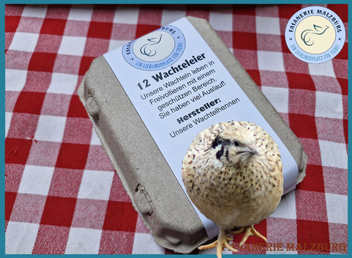 12 frische wachteleier - ~fm~,
