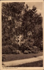 Ak Wałbrzych Waldenburg Schlesien, Birkengruppe im Park, Bäume,... - 4892603