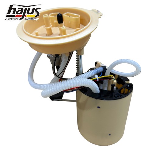 Hajus