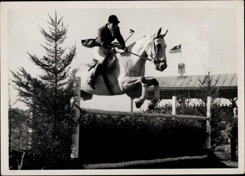 Foto springreiten sprung - foto, springreiten,