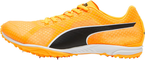 Puma evospeed haraka - evospeed, cross